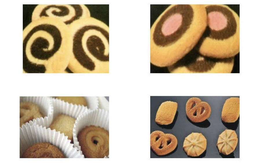Double Color Cookies And Biscuits Manufacturers best